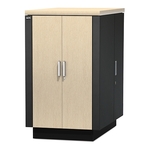 APC NetShelter CX 24u 2.4kW Rating #AR4024A